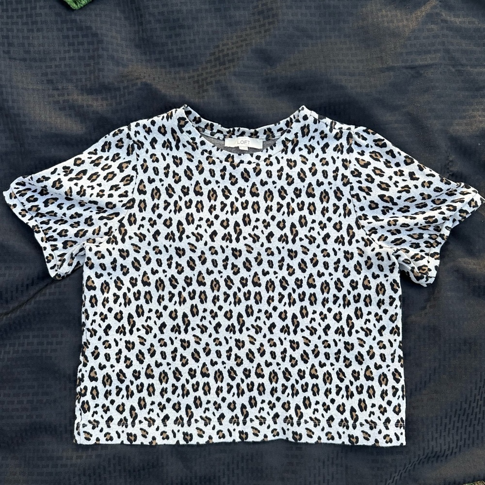 LOFT Leopard Print Sweater